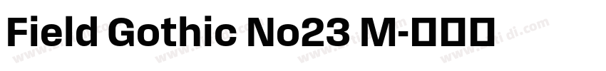 Field Gothic No23 M字体转换 Field Gothic No23 M字体转换